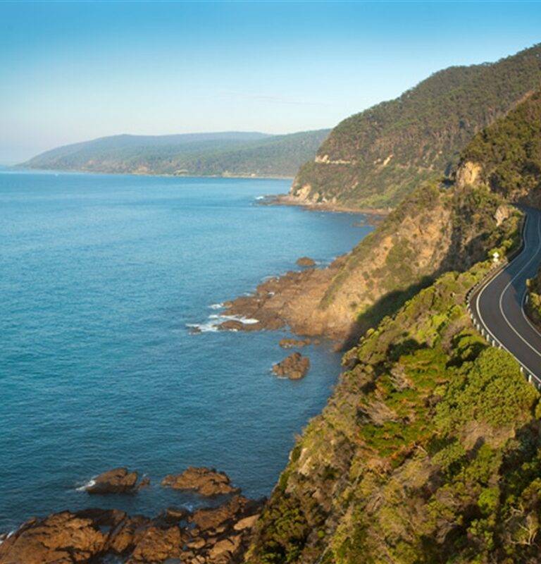 "Technician testing kitchen appliances in a Surf Coast holiday rental property."